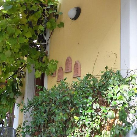 B&B Il Casale Di Nanni Lucca Exterior photo